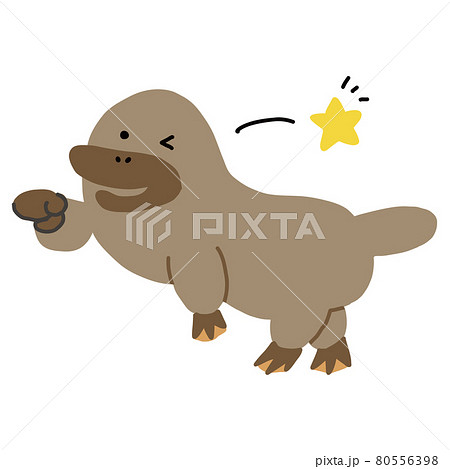 オーストラリアの動物　ウインクするカモノハシのベクターイラスト 80556398