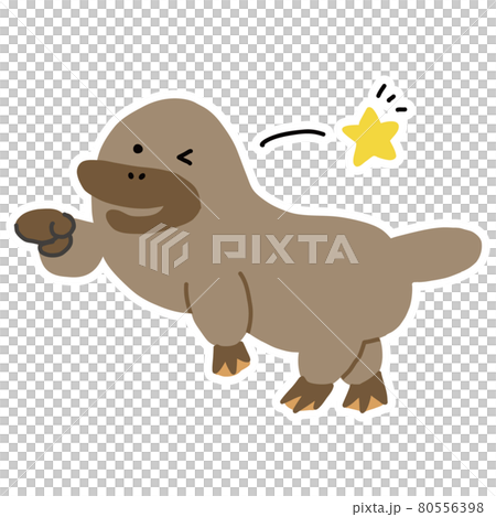 オーストラリアの動物　ウインクするカモノハシのベクターイラスト 80556398