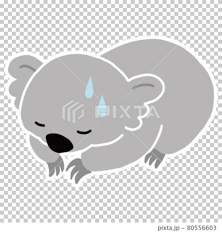 オーストラリアの動物　汗をかいて謝るコアラのベクターイラスト 80556603
