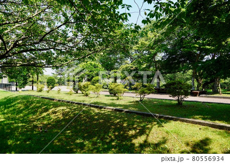 森町・オニウシ公園 森町・オニウシ公園 80556934