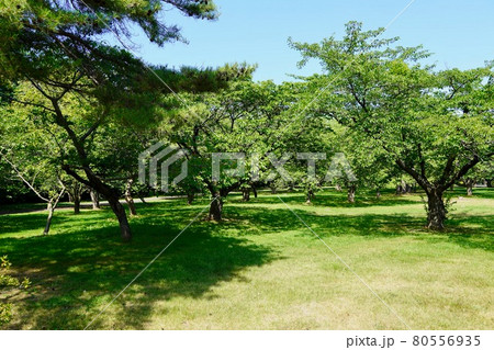 森町・オニウシ公園 森町・オニウシ公園 80556935