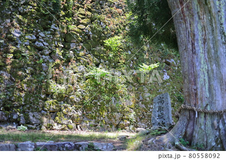 高取城 高取城 80558092