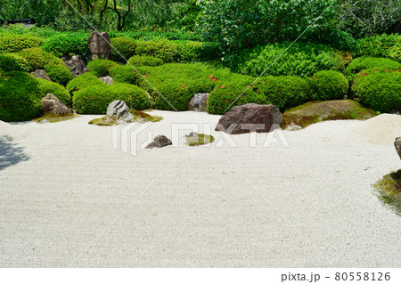 鎌倉 明月院の枯山水庭園 鎌倉 明月院の枯山水庭園 80558126