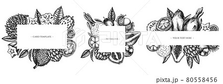 Frames with black and white papaya, guava, passion fruit, starfruit, durian, rambutan, pitaya 80558456