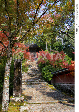 神護寺 京都 神護寺 京都 80558580