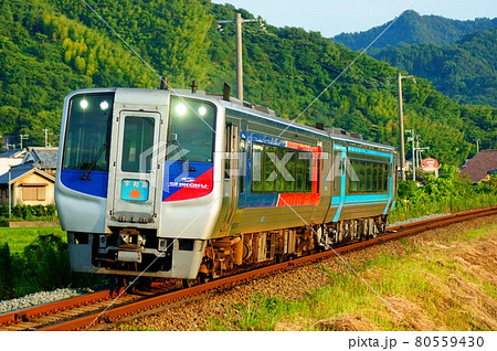 【N2000系+2000系】特急宇和海　予讃線：伊予市～向井原 80559430