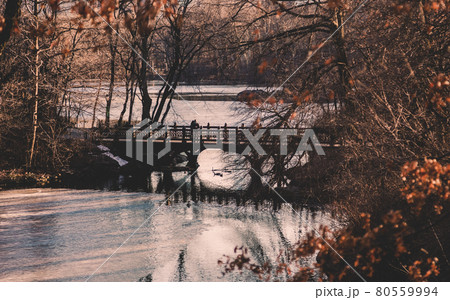 Beautiful Fall colors at Oak Bridge ,Bank Rock bay, Central Park, New York City. Beautiful Fall colors at Oak Bridge ,Bank Rock bay, Central Park, New York City. 80559994