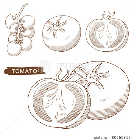 トマトセット 80560312