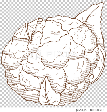 カリフラワーセット カリフラワーセット 80560315