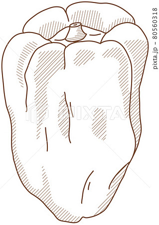 ピーマン 80560318