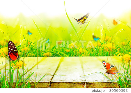 Beautiful nature view of butterfly on wooden background. 80560398