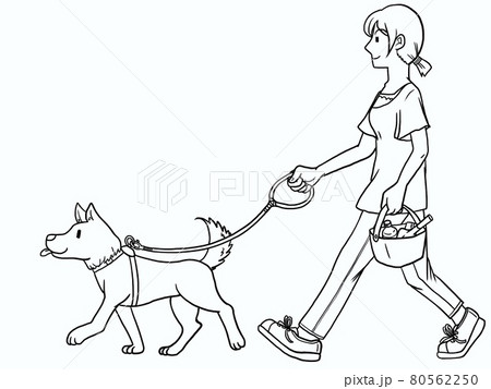 犬の散歩をする女性の線描イラストのイラスト素材