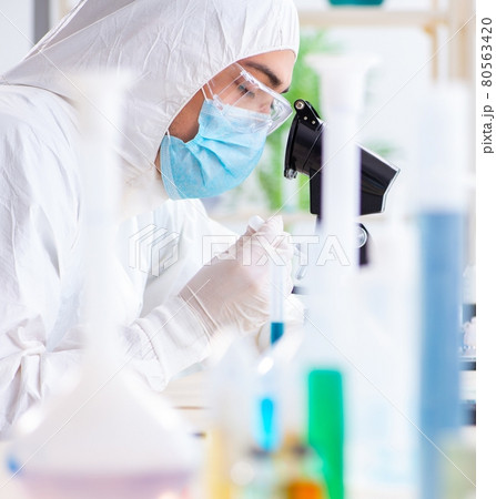 Young chemist student working in lab on chemicals 80563420