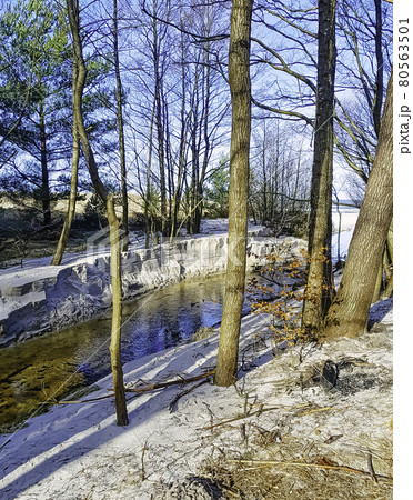 Stream in wild forest in winter - Slowinski National Park, Pomerania, Poland 80563501