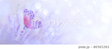 Meadow lavender horizontal background with colorful butterfly. 80565263
