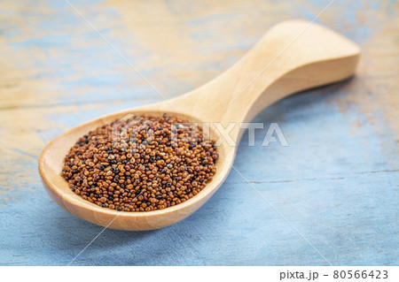 kaniwa grain on wooden spoon kaniwa grain on wooden spoon 80566423