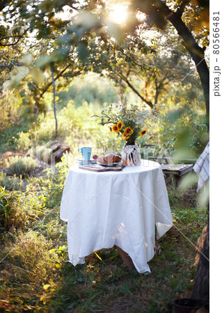 garden and tea party garden and tea party 80566481