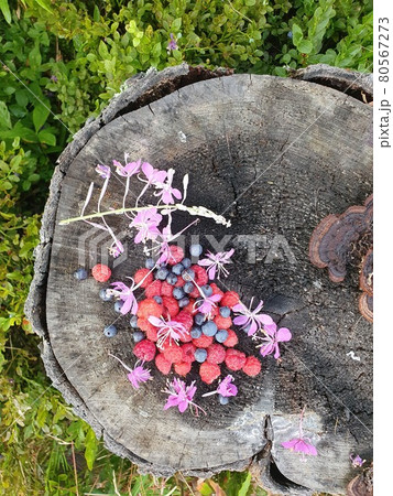 Raspberry and blueberry berry and tea flower 80567273