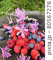 Raspberry and blueberry berry and tea flower 80567276