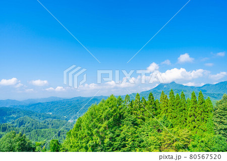 夏の大望峠 【長野県】 夏の大望峠 【長野県】 80567520