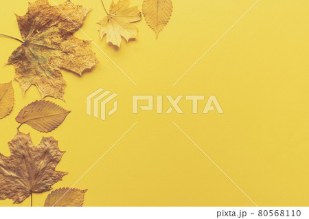 Colorful leaves frame on yellow background with copy space. Halloween or thanksgiving concept. 80568110