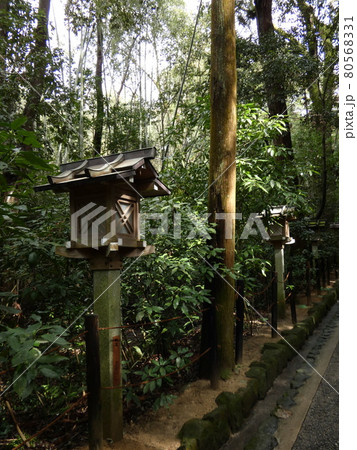 森の中の参詣道の灯篭・大神神社 80568331