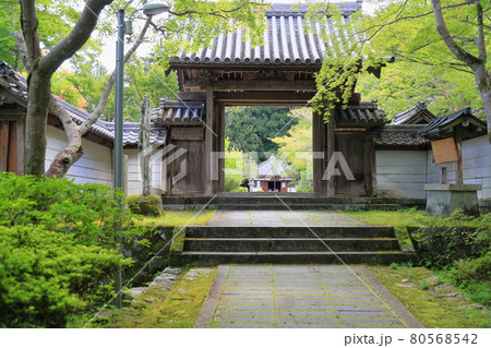 夏の山門 夏の山門 80568542