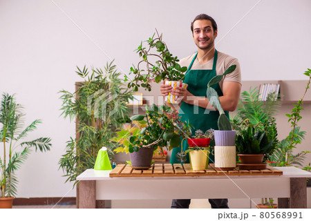 Young male gardener with plants indoors Young male gardener with plants indoors 80568991