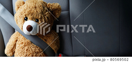 Brown teddy bear wearing car seat belt Brown teddy bear wearing car seat belt 80569502