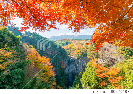 大分県福貴野の滝の紅葉の風景 大分県福貴野の滝の紅葉の風景 80570503
