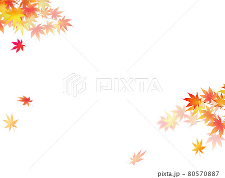 舞い散る紅葉の素材 - 背景透過 - 切り抜かれています 舞い散る紅葉の素材 - 背景透過 - 切り抜かれています 80570887