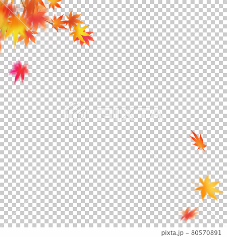 舞い散る紅葉の素材 背景透過 切り抜かれていますのイラスト素材