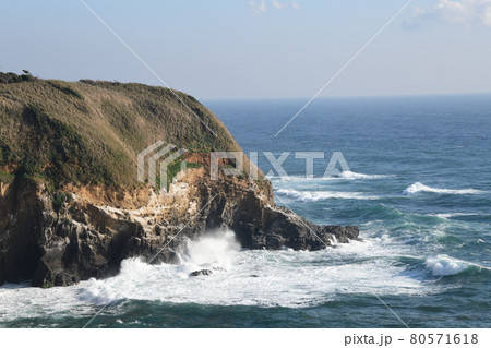 安房埼灯台　周辺 80571618