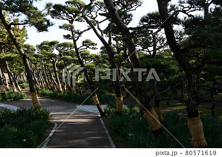 安房埼灯台　周辺 80571619