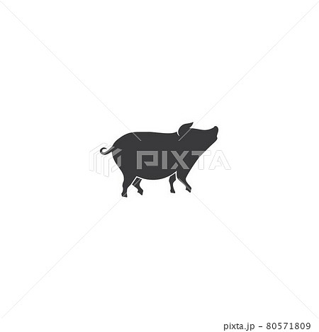Pig logo 80571809