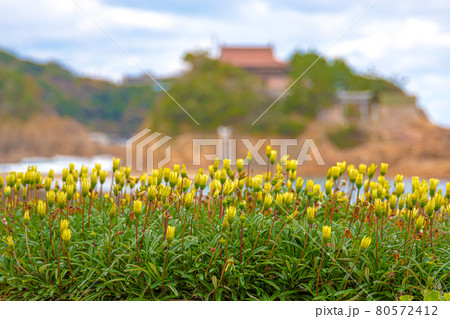 衣毘須神社 (島根・宮ヶ島) 衣毘須神社 (島根・宮ヶ島) 80572412