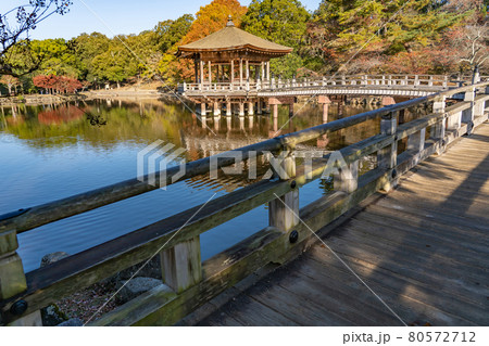 奈良県奈良市奈良公園内 紅葉の美しい鷺池に浮かぶ浮見堂 奈良県奈良市奈良公園内 紅葉の美しい鷺池に浮かぶ浮見堂 80572712