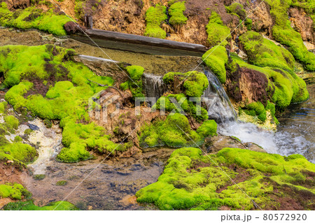 （群馬県）チャツボミゴケ公園　穴地獄　泉 80572920
