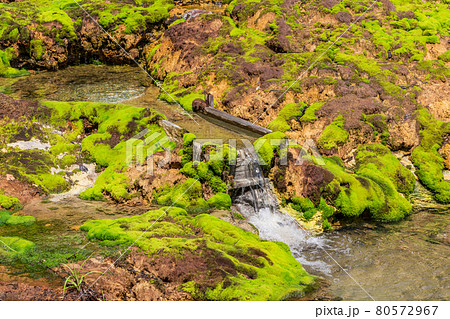 （群馬県）チャツボミゴケ公園　穴地獄　泉 80572967