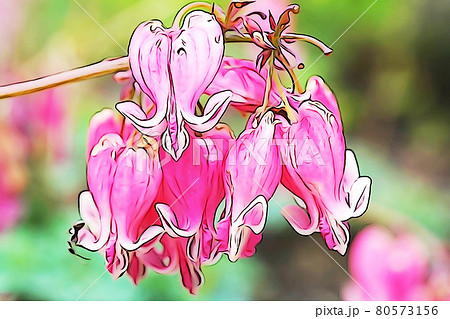 パステル調 ”コマクサ” イラストイメージ パステル調 ”コマクサ” イラストイメージ 80573156