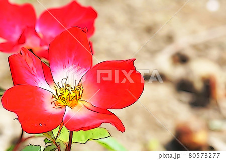 パステル調　”バラの花”　イラストイメージ 80573277