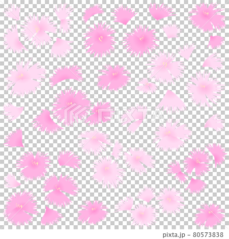 Dianthus background (vector illustration of flowers) 80573838