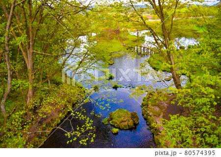 緑の美しい吹き出し公園【北海道5月】 80574395