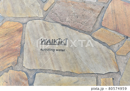 ハワイの休日 80574959