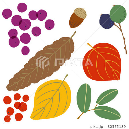 秋の葉っぱや木の実をイメージしたカットイラストのイラスト素材