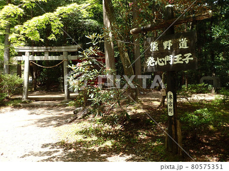 熊野古道　中辺路 80575351