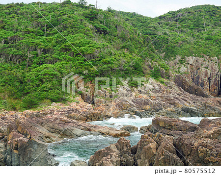 夏の唐音の蛇岩 夏の唐音の蛇岩 80575512
