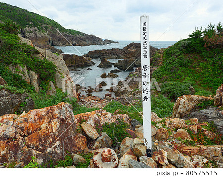 夏の唐音の蛇岩 夏の唐音の蛇岩 80575515