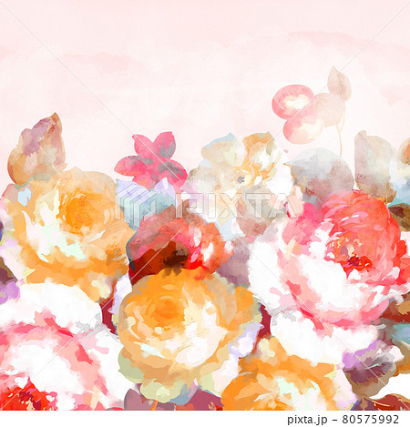 Beautiful red and pink watercolor rose peony flower and background Beautiful red and pink watercolor rose peony flower and background 80575992
