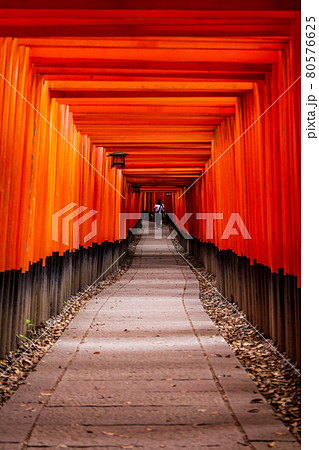 京都府 伏見稲荷大社 千本鳥居の写真素材